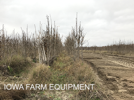 Valentini Commercial Grade Forestry Tillers